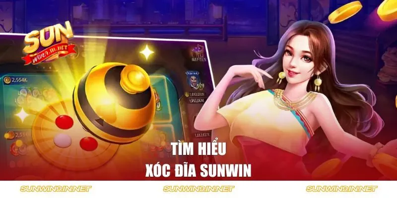 Tìm hiểu về xóc đĩa SUNWIN